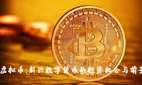  FNK虚拟币：新兴数字货币的投资机会与前景分析
