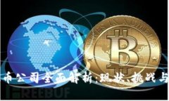 国内虚拟币公司全面解析