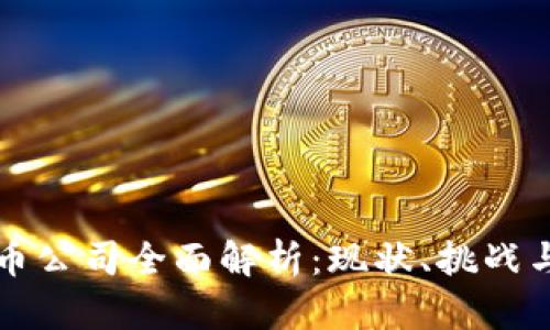 国内虚拟币公司全面解析：现状、挑战与未来趋势