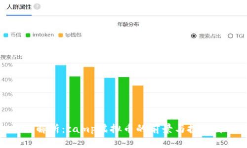 全面解析：camp虚拟币的前景与投资价值