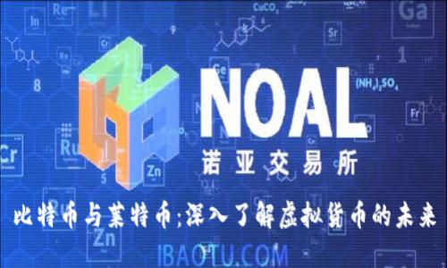 比特币与莱特币：深入了解虚拟货币的未来