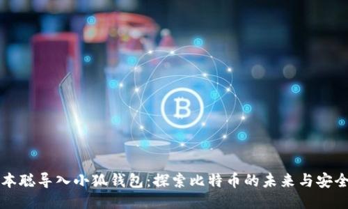 中本聪导入小狐钱包：探索比特币的未来与安全性
