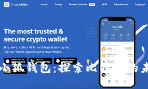 中本聪导入小狐钱包：探索比特币的未来与安全性