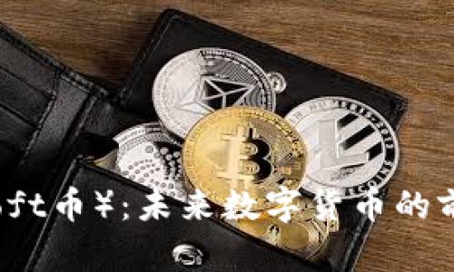 软币（Soft币）：未来数字货币的前沿探索