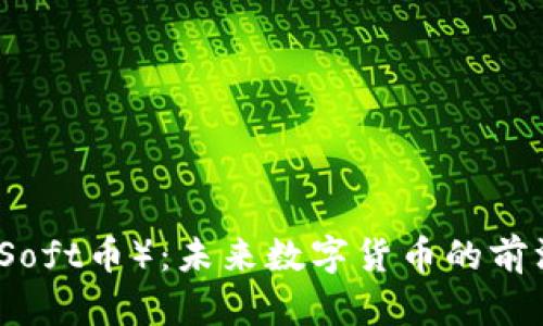 软币（Soft币）：未来数字货币的前沿探索