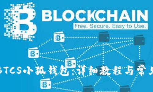 如何使用BTCS小狐钱包：详细教程与常见问题解答