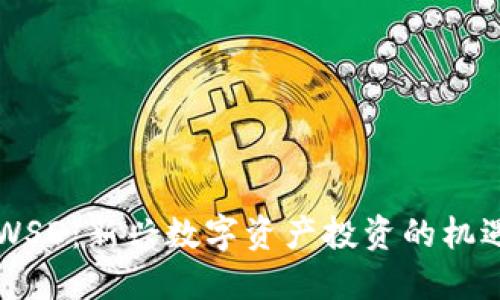 虚拟币WSD：新兴数字资产投资的机遇与挑战