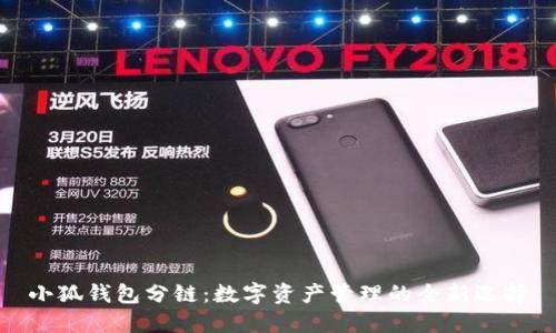小狐钱包分链：数字资产管理的全新选择
