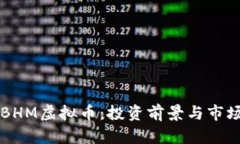 深入了解BHM虚拟币：投资