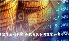 中本聪背后的秘密：小狐