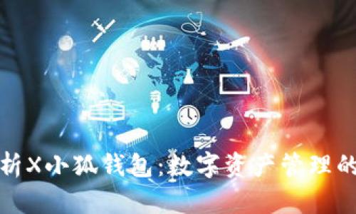 全面解析X小狐钱包：数字资产管理的新宠儿