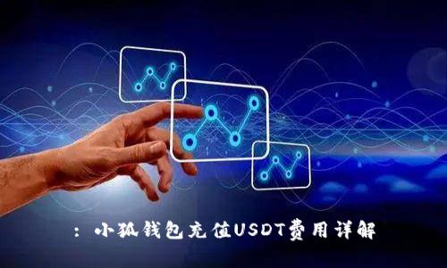 : 小狐钱包充值USDT费用详解