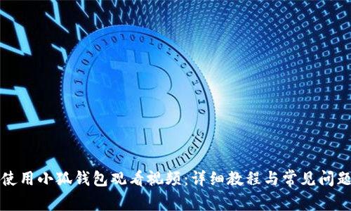 如何使用小狐钱包观看视频：详细教程与常见问题解析