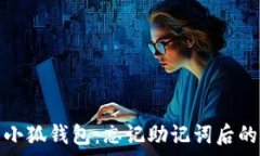  如何恢复小狐钱包：忘记