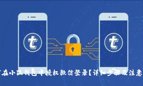 如何在小狐钱包中授权微信登录？详细步骤及注意事项