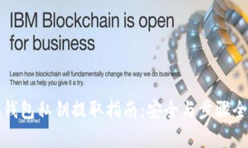 小狐钱包私钥提取指南：安全与步骤全解析