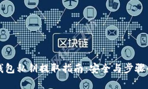 小狐钱包私钥提取指南：安全与步骤全解析