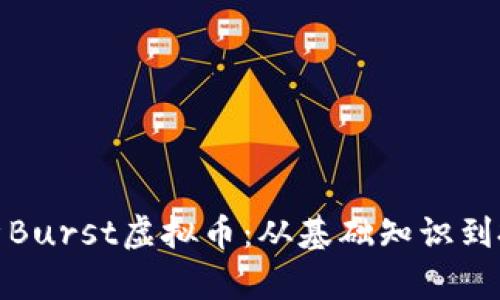 全面解析Burst虚拟币：从基础知识到投资策略