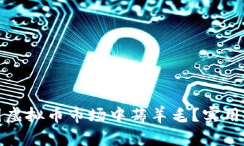 如何在外围虚拟币市场中薅羊毛？实用技巧与建议