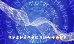 中华虚拟币的崛起与影响