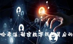 小狐钱包哈希值：解密数