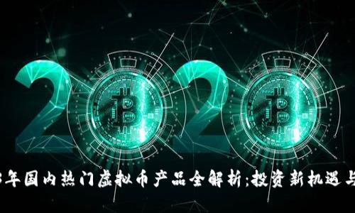 2023年国内热门虚拟币产品全解析：投资新机遇与风险