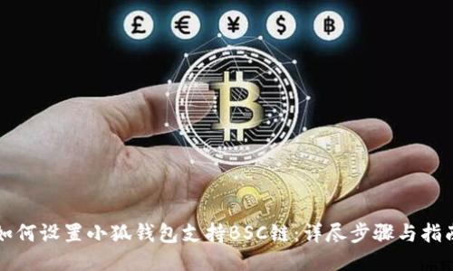 如何设置小狐钱包支持BSC链：详尽步骤与指南