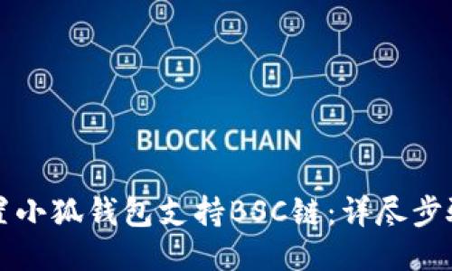 如何设置小狐钱包支持BSC链：详尽步骤与指南