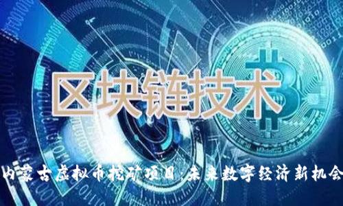 内蒙古虚拟币挖矿项目：未来数字经济新机会
