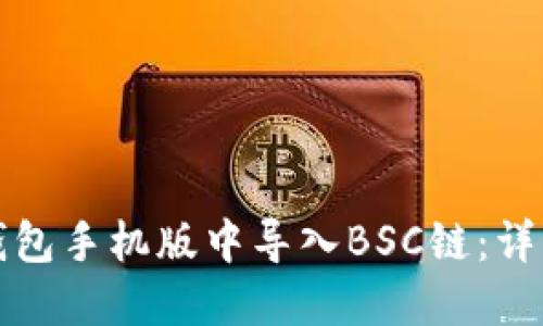 如何在小狐钱包手机版中导入BSC链：详细步骤与窍门