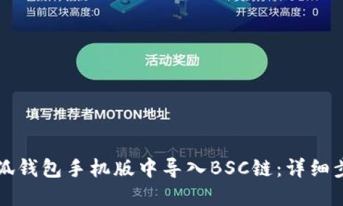 如何在小狐钱包手机版中导入BSC链：详细步骤与窍门
