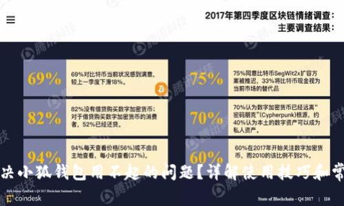 如何解决小狐钱包用不起的问题？详解使用技巧和常见问题