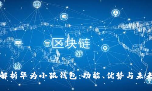 全面解析华为小狐钱包：功能、优势与未来发展