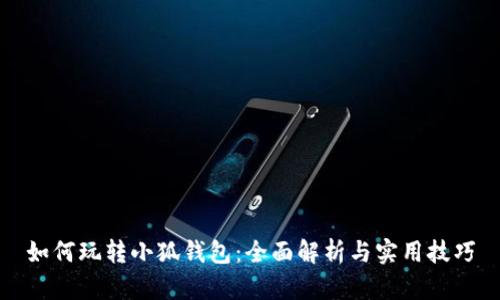 如何玩转小狐钱包：全面解析与实用技巧