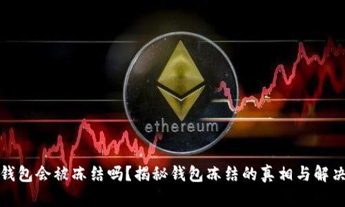 小狐钱包会被冻结吗？揭秘钱包冻结的真相与解决方案