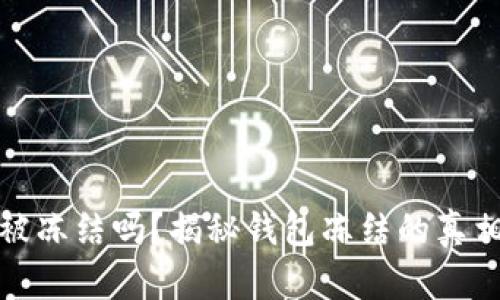 小狐钱包会被冻结吗？揭秘钱包冻结的真相与解决方案
