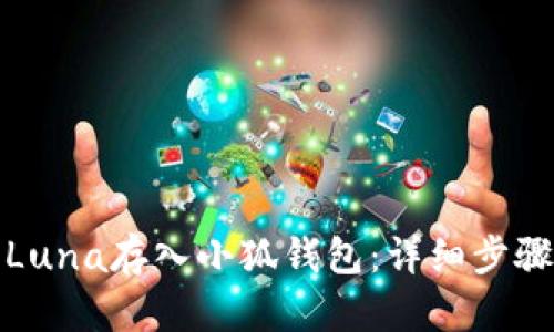 如何将Luna存入小狐钱包：详细步骤与技巧