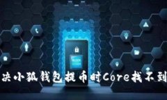 如何解决小狐钱包提币时