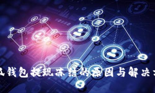 小狐钱包提现冻结的原因与解决方法