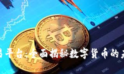 人民币虚拟交易平台：全面揭秘数字货币的未来趋势与机遇