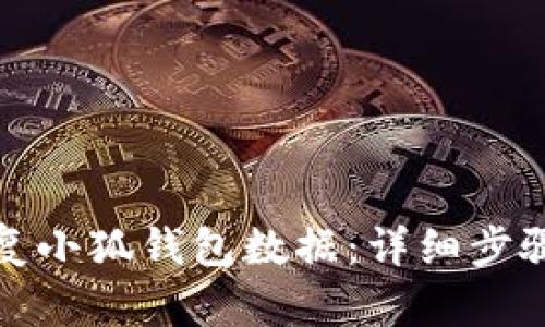 如何恢复小狐钱包数据：详细步骤与技巧