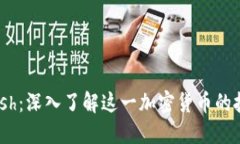 虚拟币Dash：深入了解这一
