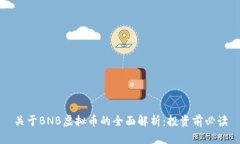 关于BNB虚拟币的全面解析