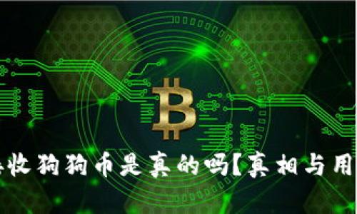 小狐钱包接收狗狗币是真的吗？真相与用户体验解析