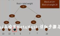 如何在iPad上安装MetaMask：