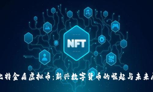 : 比特金盾虚拟币：新兴数字货币的崛起与未来展望