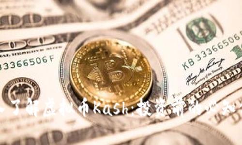 深入了解虚拟币Kash：投资前的必知信息