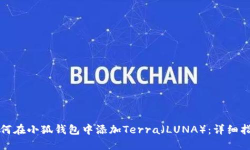 如何在小狐钱包中添加Terra（LUNA）：详细指南