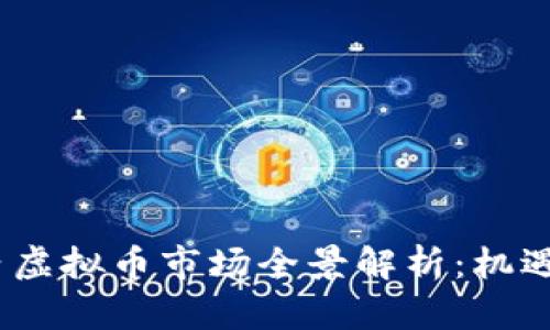 2023年国内虚拟币市场全景解析：机遇与挑战并存