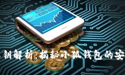 小狐钱包私钥解析：揭秘小狐钱包的安全性与管理
